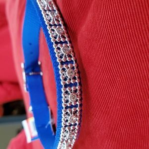 Brand New blue dog collar with rhinestones 16 inches